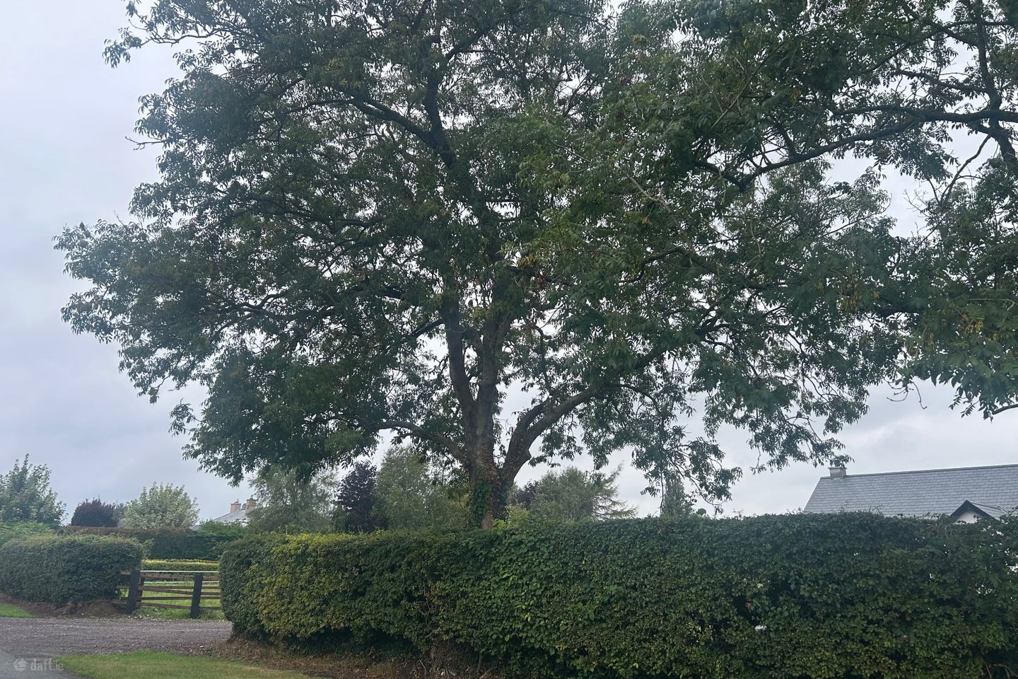 Hayestown, Navan, Co. Meath is for rent on Daft.ie - photo 2 of 12