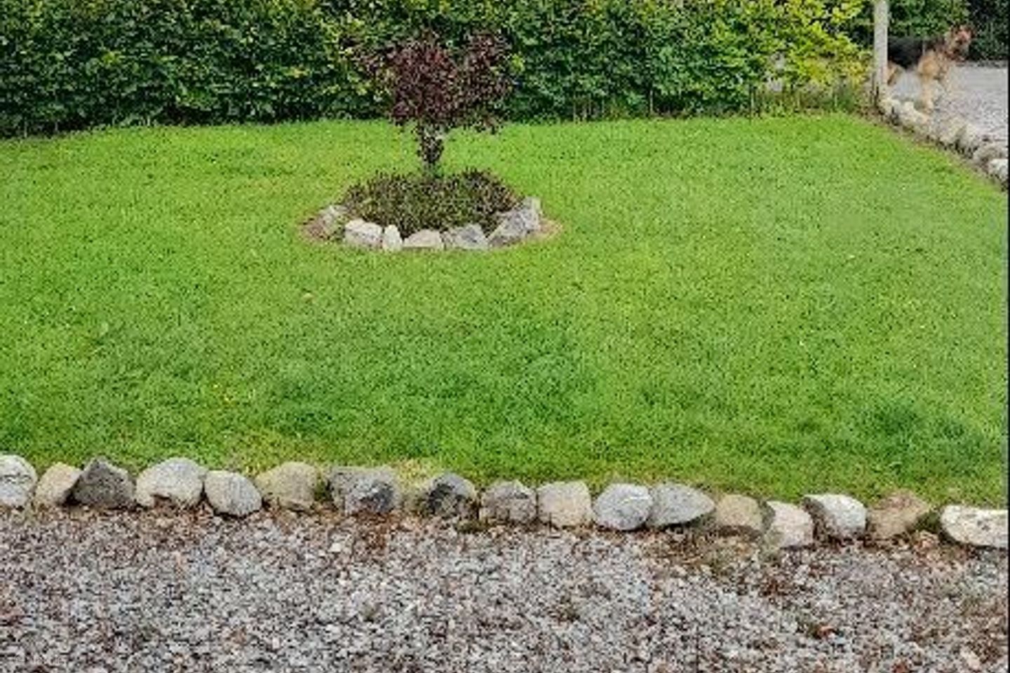 Castletown, Castletown-Geoghegan, Co. Westmeath is for rent on Daft.ie - photo 15 of 15