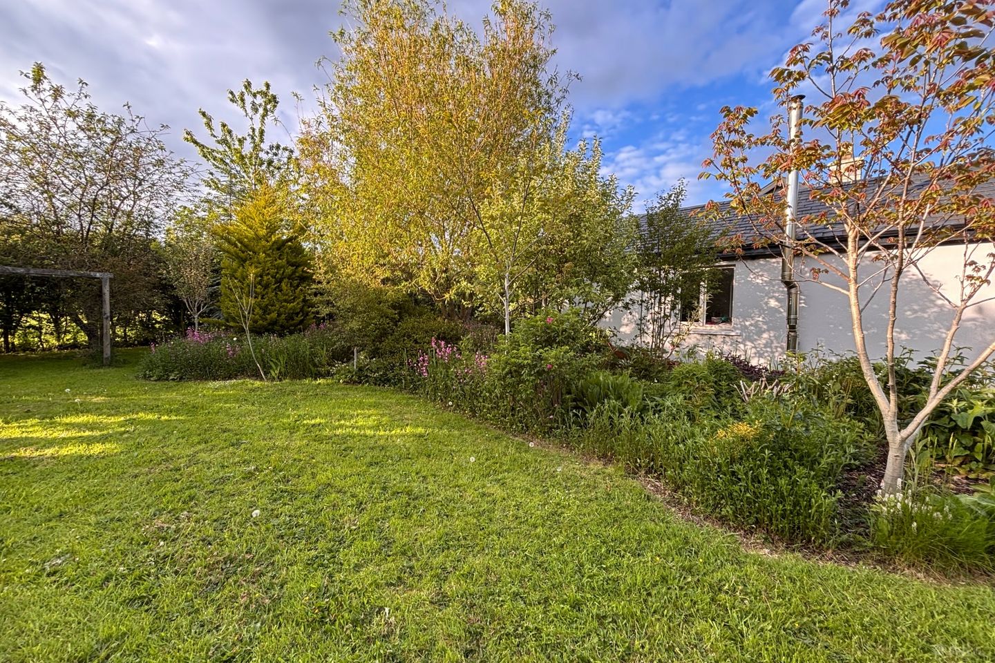 Ballykealey, Ballon, Carlow, Ballon, Co. Carlow is for rent on Daft.ie