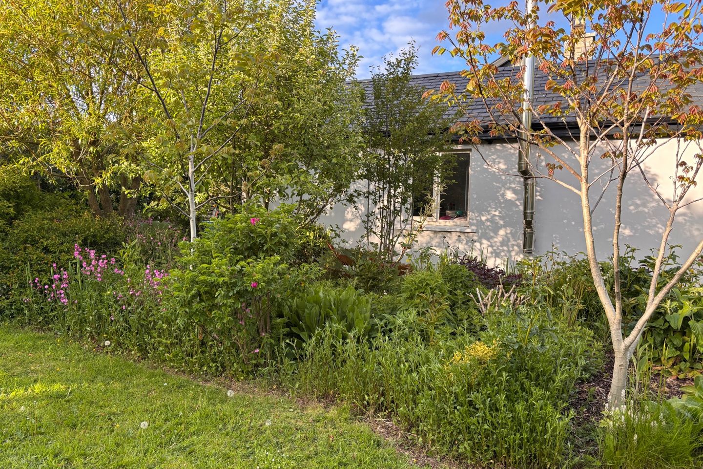 Ballykealey, Ballon, Carlow, Ballon, Co. Carlow is for rent on Daft.ie - photo 2 of 2